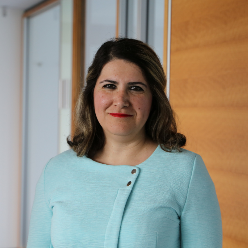 academic-cv-anahita-nafissi-impactio